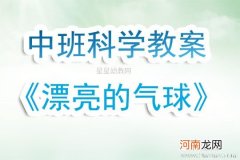 附教学反思 大班科学活动教案：水的变化教案