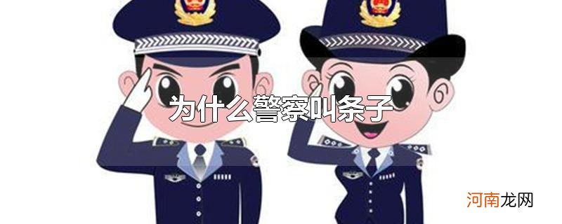 为什么警察叫条子