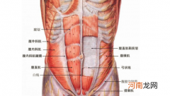 腹肌怎么练