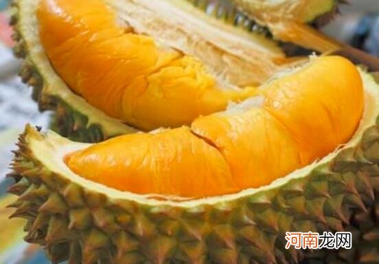 怀孕不能吃什么食物