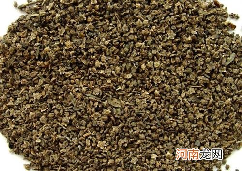 地肤子药用价值强 能消炎利尿清热解毒