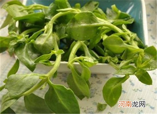 穿心莲什么时候吃好 有副作用吗