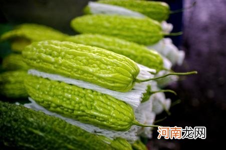 秋季养生多吃瓜 这种食物很适合