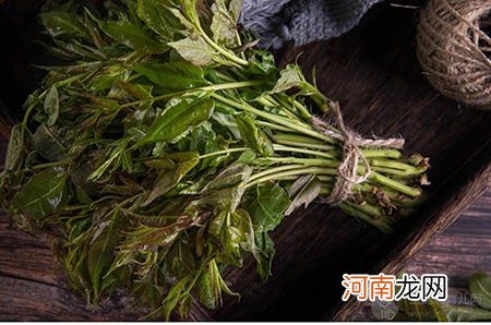 宝宝疫苗注意事项！该打和不必打的疫苗，区别是什么？