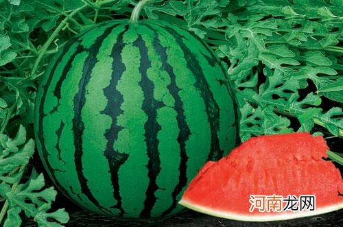 夏天吃什么水果能够防晒