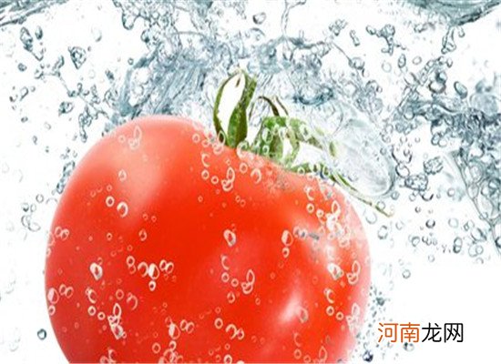 夏天吃什么最降火 西红柿和西瓜