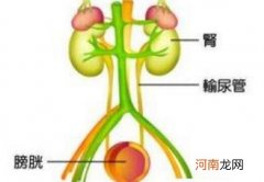 泌尿系统感染吃什么药