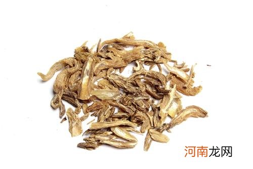 百部草能灭跳蚤 教你百部草用法