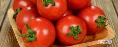 西红柿没有籽能吃吗优质