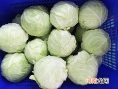 孕妇能吃卷心菜吗