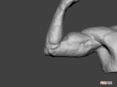 怎么练手臂肌肉