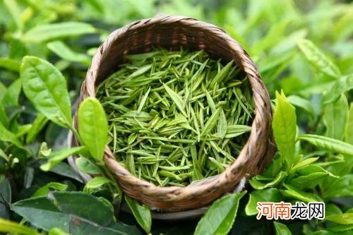 夏天清热解毒消暑茶水有哪些