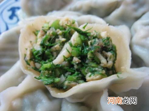 茴香饺子的做法