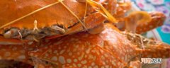 熟螃蟹冷冻保存多久优质