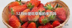 12月份是吃草莓的季节吗