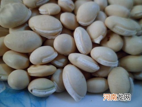 夏天吃什么豆类食物能够去湿气