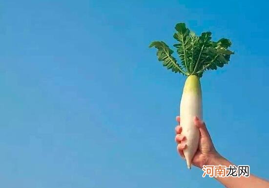 吃什么食物降血糖