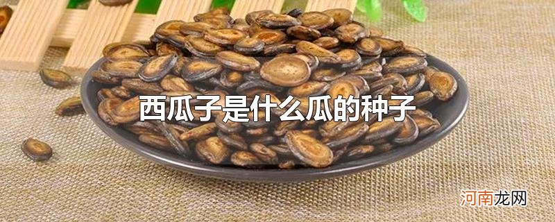 西瓜子是什么瓜的种子