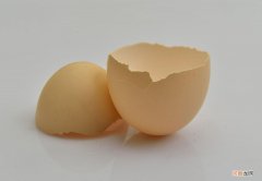 小鸡蛋壳有这么大的用途 鸡蛋壳有什么用？