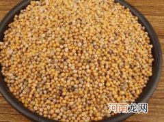 芥子的食用方法是什么 治疗咳嗽的疗方