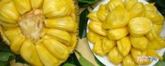 菠萝蜜的核是能吃吗优质
