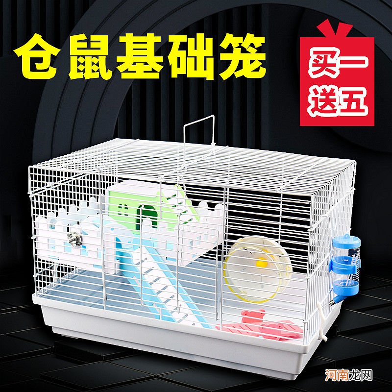 养仓鼠的必备品 养仓鼠的必备品