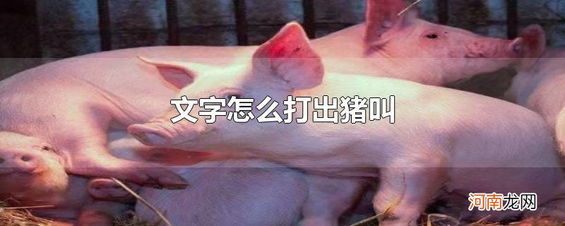 文字怎么打出猪叫