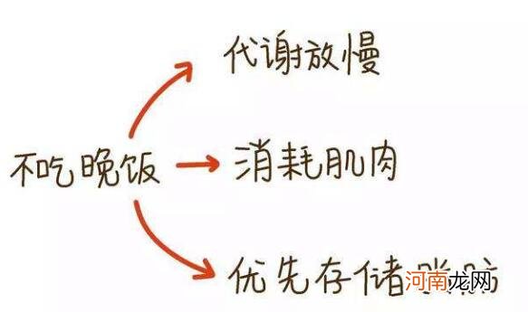 不吃晚饭能减肥吗