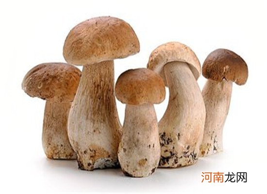 对肌肤有益处的食物 嫩肤又抗衰