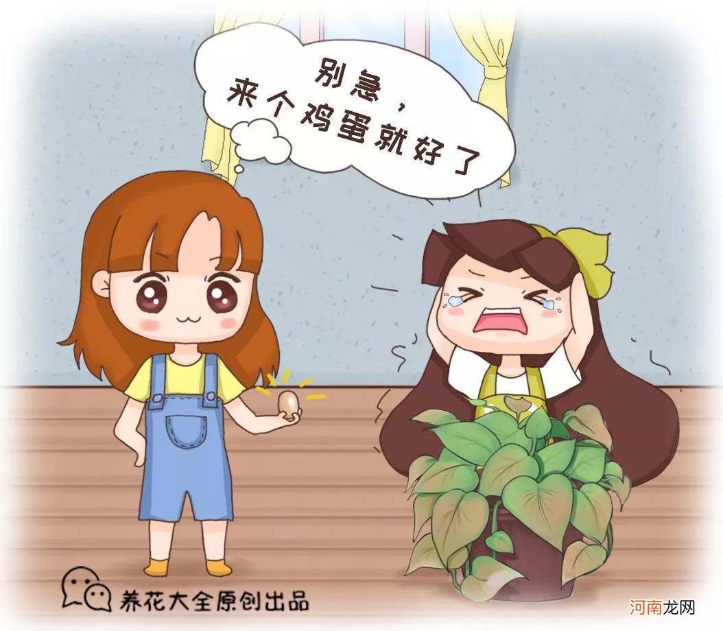 这八个鸡蛋的妙用 鸡蛋有什么用？