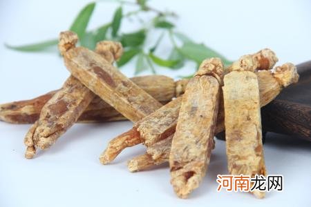 高丽参的药用功效有哪些