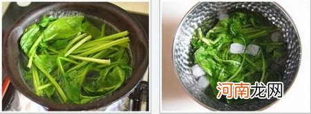 芝麻酱菠菜的做法