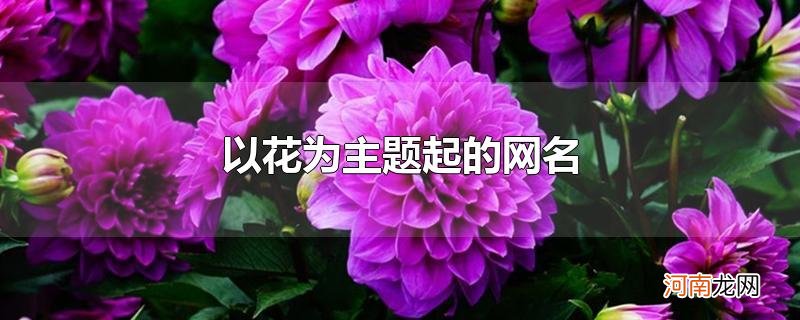 以花为主题起的网名