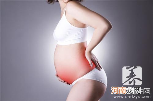 17周的胎儿有多大图片