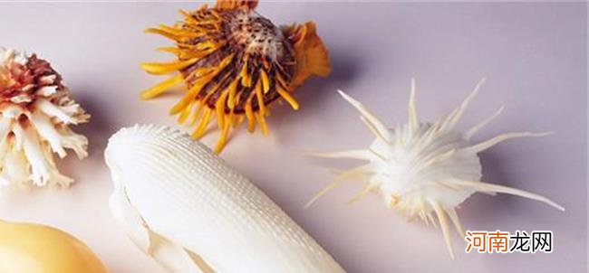 17周的胎儿有多大图片