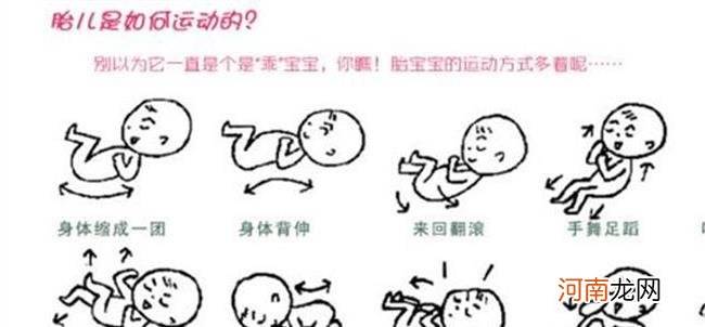 17周的胎儿有多大图片