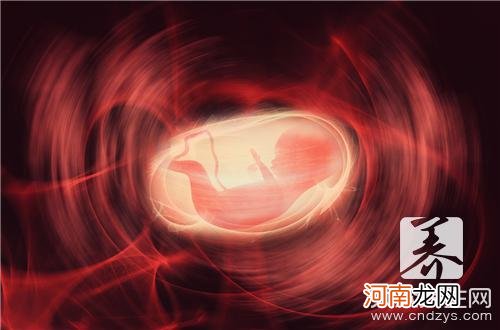 17周的胎儿有多大图片