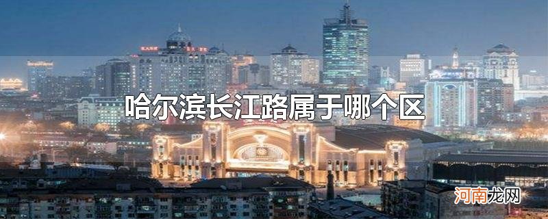 哈尔滨长江路属于哪个区