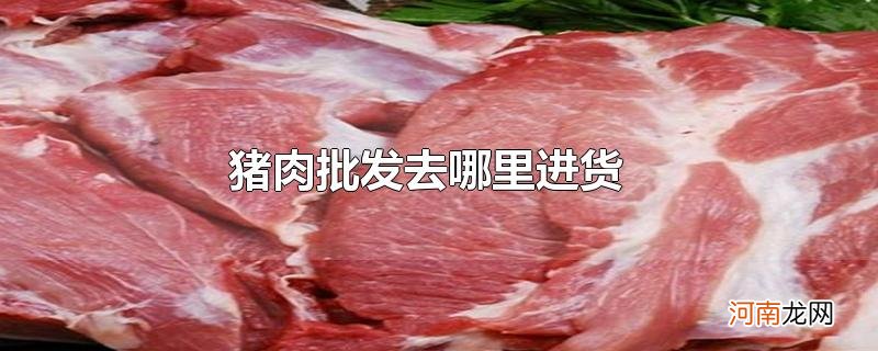 猪肉批发去哪里进货