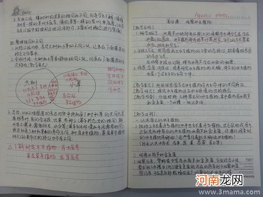 附教学反思 中班科学活动教案：蔬菜汤教案