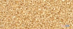 糙米是什么米优质