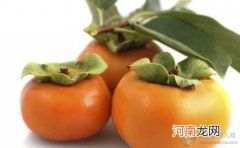孕妇可以多吃柿子吗?
