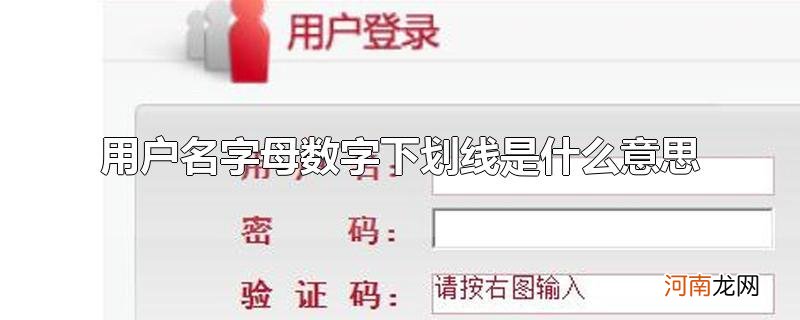 用户名字母数字下划线是什么意思