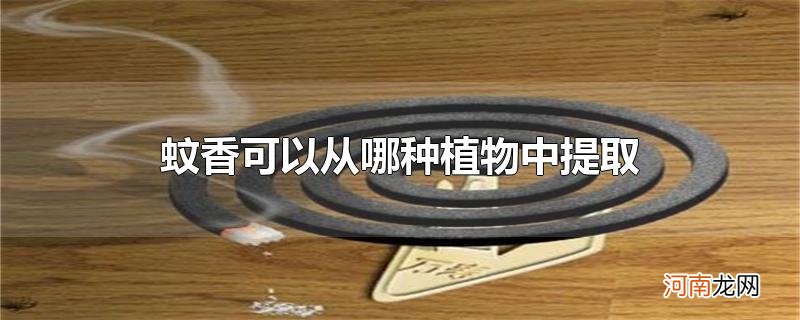 蚊香可以从哪种植物中提取