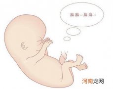 18周胎儿胎动位置示意图