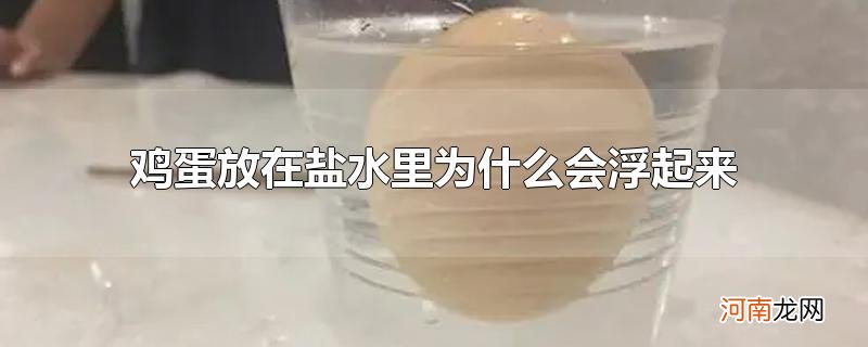 鸡蛋放在盐水里为什么会浮起来