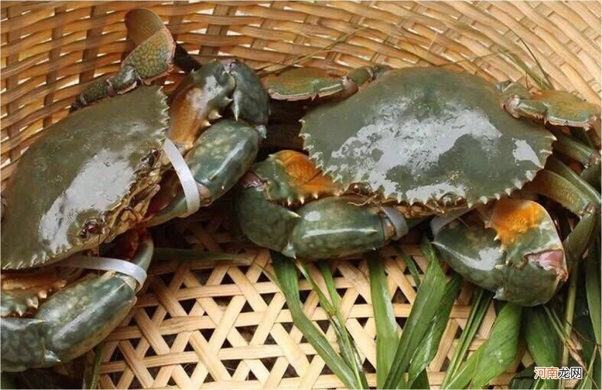 为什么死螃蟹不能吃 为什么死螃蟹不能吃？