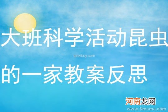 附教学反思 中班科学活动教案：认识昆虫教案