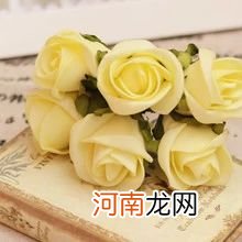 香槟玫瑰花语是什么