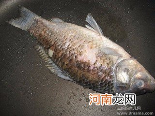 下奶食谱:冬瓜鲫鱼汤